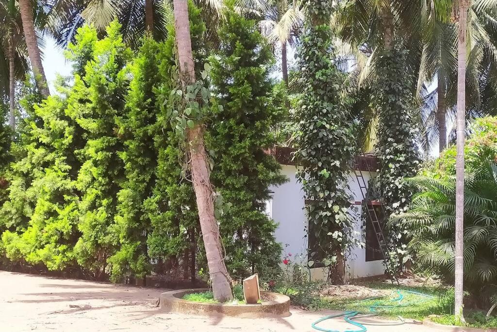 Runnin Airport - Homestay Gurpur Bagian luar foto