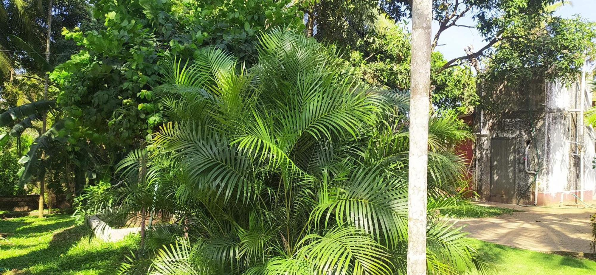 Runnin Airport - Homestay Gurpur Bagian luar foto