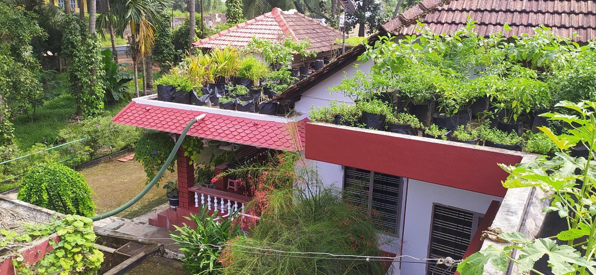 Runnin Airport - Homestay Gurpur Bagian luar foto