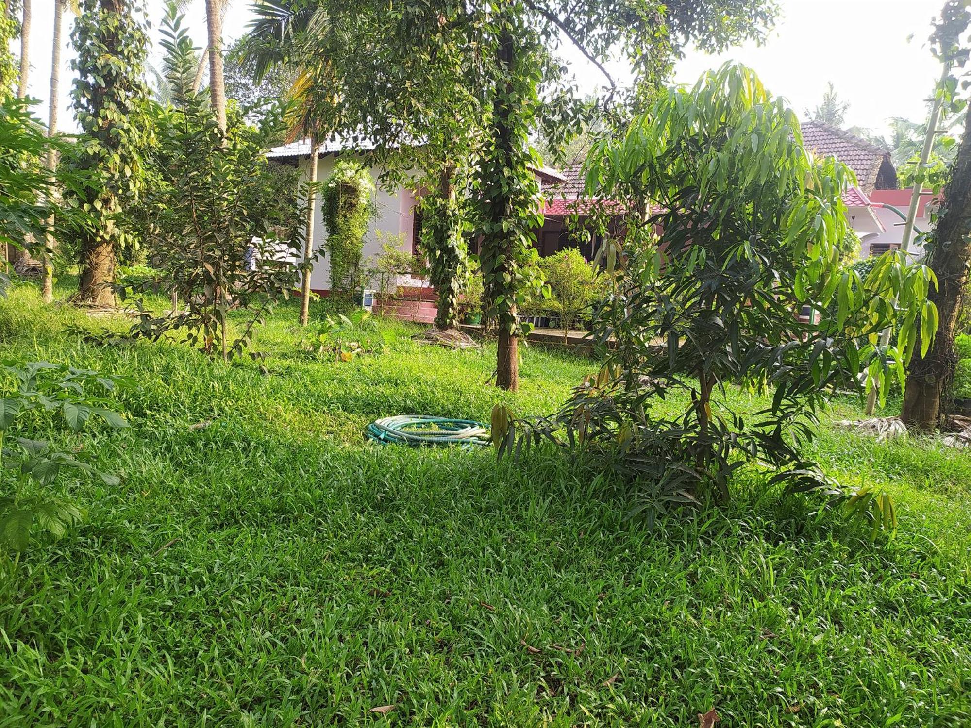 Runnin Airport - Homestay Gurpur Bagian luar foto